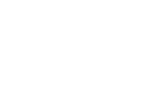 IATA Logo